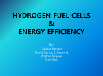 HYDROGEN FUEL CELLS & ENERGY EFFICIENCY