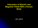 Interaction of electric and magnetic fields with a human body
