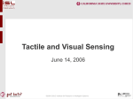 Tactile and Visual Sensing