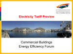 Commercial Buildings  Energy Efficiency Forum Electricity Tariff Preview