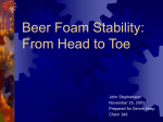 Beer Foam: From Head to Toe - John Stephenson
