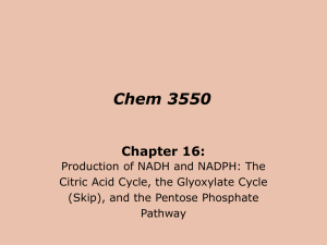 Concepts in Biochemistry 3/e