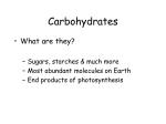 Principles of Biochemistry 4/e