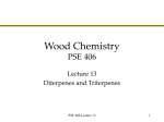 Wood Chemistry PSE 406/Chem E 470
