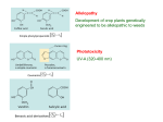 (3) Nitrogen-containing compounds