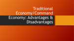 Traditional Economy: Advantages & Disadvantages