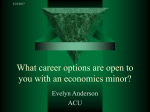 What career options are open to you with an economics minor?