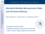 Normative Modelling of Retirement Decisions: An