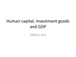 Human capital, Investment goods and GDP