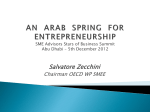 AN ARAB SPRING FOR ENTREPRENEURSHIP SME Advisors …