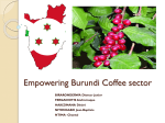 Empowering Burundi Coffee sector