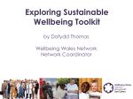 Wellbeing Wales Network