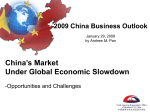 2009 China Business Outlook