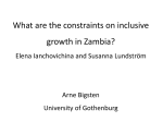 Comments on What are the constraints on inclusive growth in