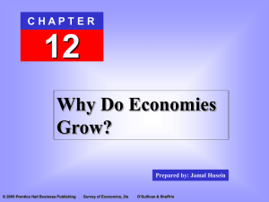 Prepared by: Jamal Husein CHAPTER 12 Why Do Economies Grow?