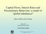 Capital Flows, Interest Rates and Precautionary Behaviour: a model of