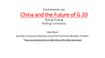 China and the G 20