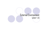 External Environment (Unit 1.5)