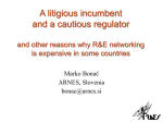 A litiguous incumbent and a cautious regulator
