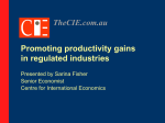 Promoting productivity gains in regulated industries