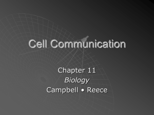 Cell Communication (Chapter 11)