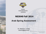 Arab-Spring Assessment