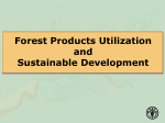 Forest Products Utilization and Sustainable Development
