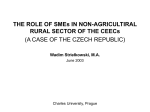 Factors influencing the Success of SMEs in Rural Poland