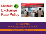 Module Exchange Rate Policy