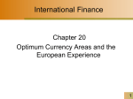 optimum currency areas - YSU