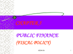 Public Finance