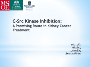 C-Src Kinase Inhibition: A Promising Route in Kidney Cancer