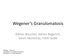 Wegener`s granulomatosis