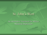 St. John`s Wort