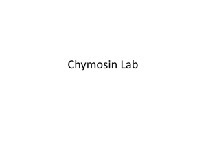 Chymosin Lab
