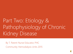 Part Two: Etiology & Pathophysiology of Chronic Kidney Disease