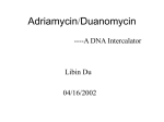 Adriamycin/Duanomycin