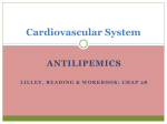 Cardiovascular System