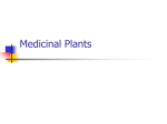 Medicinal Plants