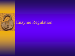 Enzymeregulation