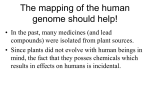 The mapping of the human genome should help!