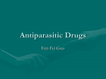 Antiprotozoal Drugs