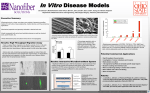 Title Here - Nanofiber Solutions