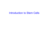 Introduction to Stem Cells