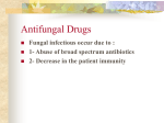 Antifungal Drugs