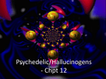 Hallucinogens - People Server at UNCW