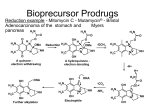 Bioprecursor Prodrugs