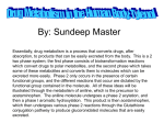 Drug Metabolism in the Human Body: Tylenol