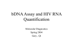 Bayer Diagnostics Branched DNA – HIV-1