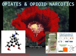 opioidnarcotics